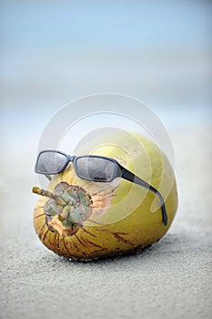 Coconut with sun glasses