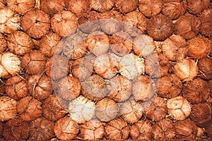 Coconut texture background