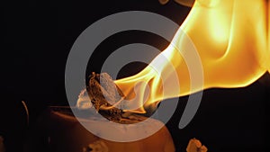 Coconut torch against a dark background. A beautiful flame of yellow-white-red hues from. Close-up slow motion of