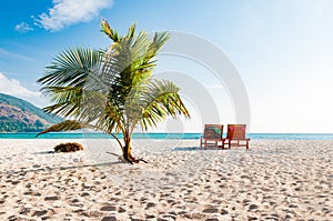 Coconut tree and 2 beach chair in a sunny blue sky day. A luxury