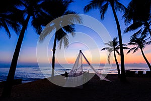 coconut tree on the beach at sunrise in Thailand.