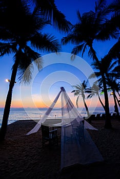 coconut tree on the beach at sunrise in Thailand.