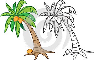 Coconut tree