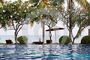 Coconut tree and chair around outdoor swimming pool in hotel res
