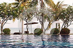 Coconut tree and chair around outdoor swimming pool in hotel res