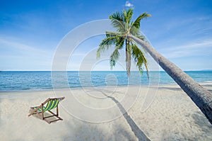 Coconut tree and a deck chair tropical luxury beach summer paradise