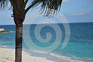 Coconut Tree Lining Blue Sandy Beach