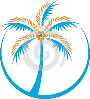 Coconut tree logo