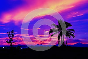 Coconut tree silhouette tropical colorful sky at sunset beautiful background with copy space add text