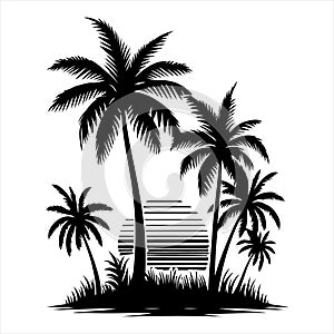 coconut tree and sunset with white backround