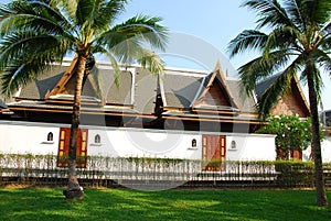 Coconut tree and thai building