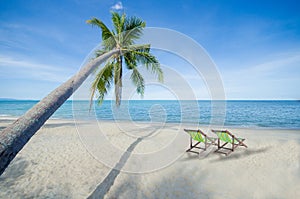 Coconut tree and two deck chair tropical luxury beach summer paradise concept