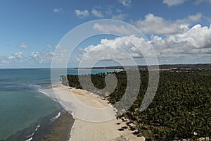 coconut trees, beach sand and blue sea in sunny day