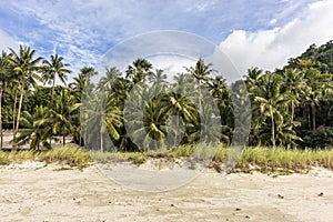 Coconut trees and blue at Aninuan Beach on Mindoro Island!