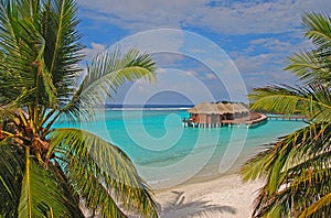 Between coconut trees blue sky turquoise water dream vacation on Overwater Bungalow at a tropical resort island, Maldives