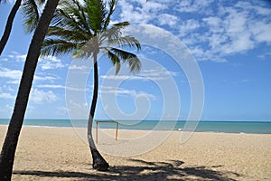 COCONUT TREES dodging the soccer beam