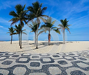 Coconut trees on Ipanema beach Rio de Janeiro Brazil
