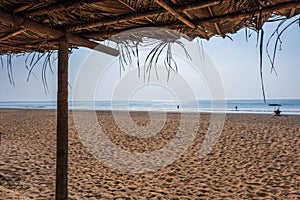 coconut trees on ocean coast near tropical shack or open cafe on beach with sunbeds