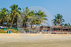 coconut trees on ocean coast near tropical shack or open cafe on beach with sunbeds