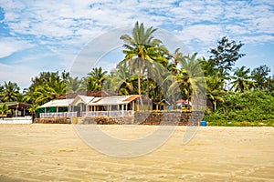 coconut trees on ocean coast near tropical shack or open cafe on beach with sunbeds