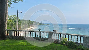 Coconut trees in a row along the sandy beach with waves crashing