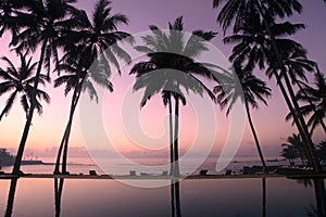 Coconut Trees at sunrise