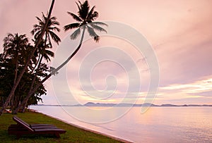 Coconut trees with sunset ocean view