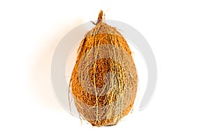 coconut tropical fruit isolated on white background. bright one whole undisclosed coco nut and its shadow. top view. photo
