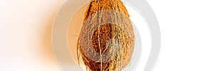 Coconut tropical fruit isolated on white background. bright one whole undisclosed coco nut and its shadow. top view. banner. photo