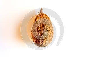 coconut tropical fruit isolated on white background. bright one whole undisclosed coco nut and its shadow. top view. photo