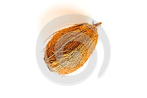 Coconut tropical fruit isolated on white background. bright one whole undisclosed coco nut and its shadow. top view. photo