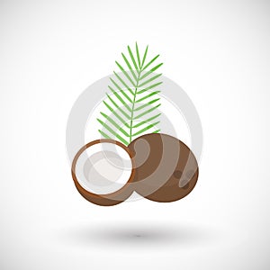 Coconut vector flat icon