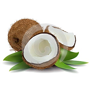 Coconut