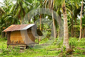 Coconut villa