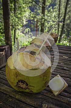 Coconut water drink for thirsty visitor