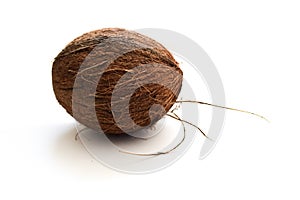 Coconut on a white isolated background.