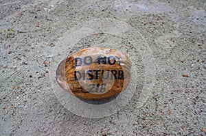 Coconut with writing on its shell lying on the sand of a beach as hotel guests request art sign not to disturb. Exotic travel dest