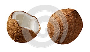 Coconuts photo