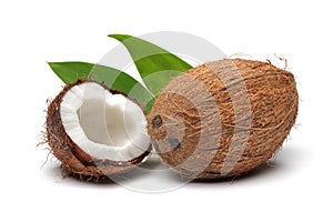 Coconuts photo