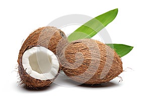 Coconuts photo