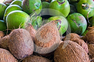 Coconuts