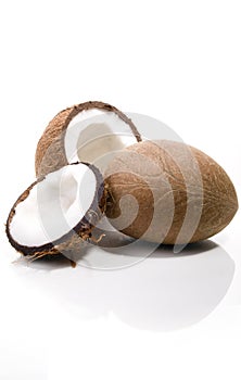 Coconuts