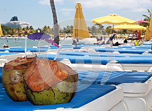 Coconuts as beach abstract in Harvest Caye, Belize