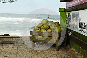 Coconuts in Brazil