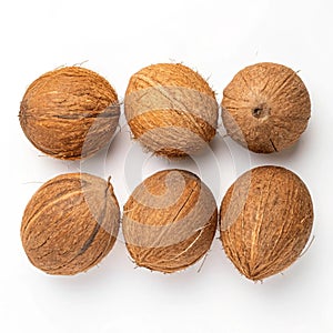 Coconuts with brown husks isolated on white photo