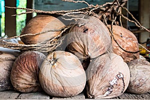 Coconuts for coconut milk.