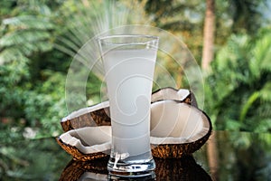 Coconuts and coconut water on the black glass table isolated over blurred palm trees background