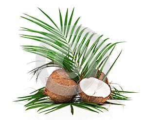 Coconuts with green leaf