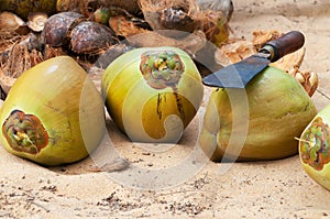 Coconuts with knife