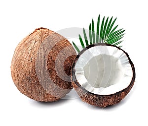 Coconuts with leaves.